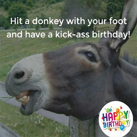 Best Funny Birthday Wishes For Friends Sister Brother