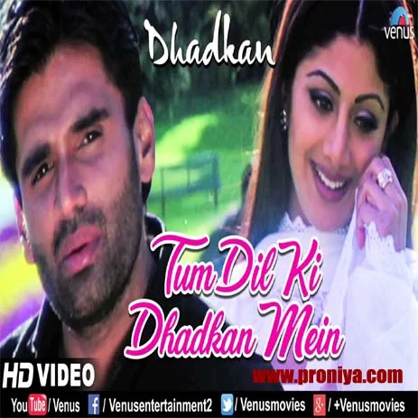 Tum Dil Ki Dhadkan Mein Rehte Ho Lyrics English Hindi